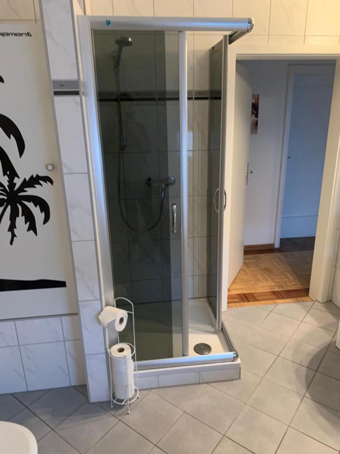 Mainpark Apartment 4 Schlafzimmer Bis Zu 10 Personen Direkt Ueber Aschaffapartment Bei Aschaffenburg Mainaschaff Екстериор снимка